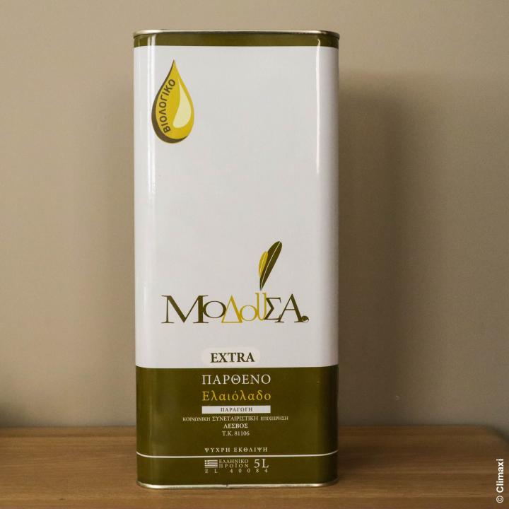 modousa olive oil