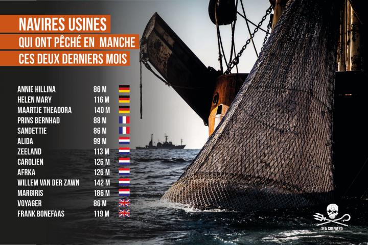 Nederlandse diepvriesschepen actief in de Noordzee
